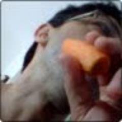 WhiskyRabbit's profile picture. Sopravvivo con classe.