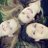 gretchen72599's profile image