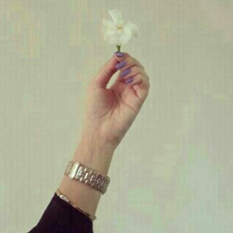 Arwa673 Profile Picture