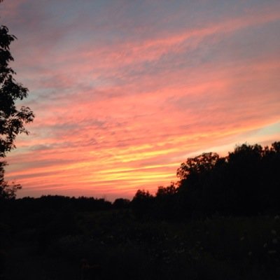 wjefwhite's profile picture. College Hockey Fan