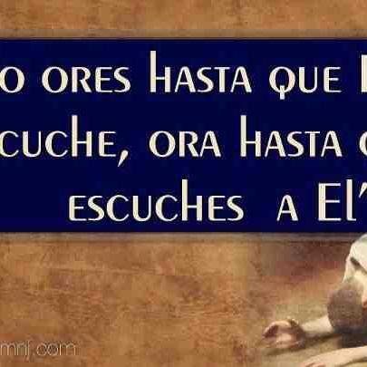 Docente