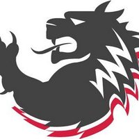 LOK Grips (@lokgrips) Twitter profile photo