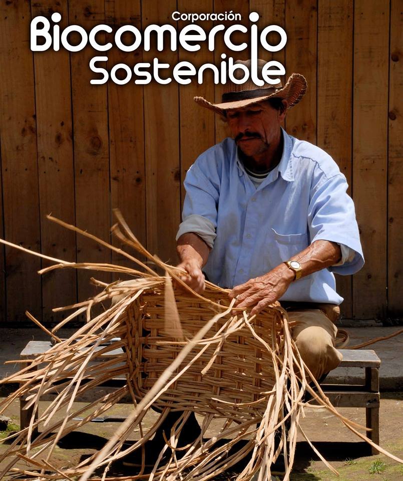 Corporación Biocomercio Sostenible -CBS Colombia. ONG que nace por la conservación y uso sostenible de la biodiversidad como alternativa de desarrollo.