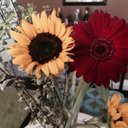 Holly mallory - @HMall1969 - Twitter