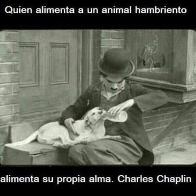El dolor de los animales es el mío.