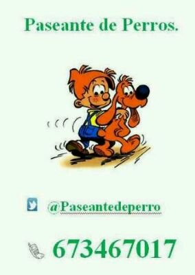 tumascotaciudadreal@hotmail.com