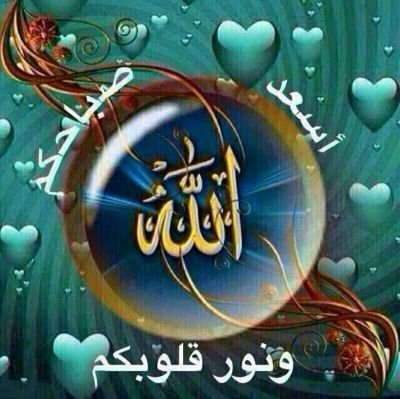 عاشق البنفسج