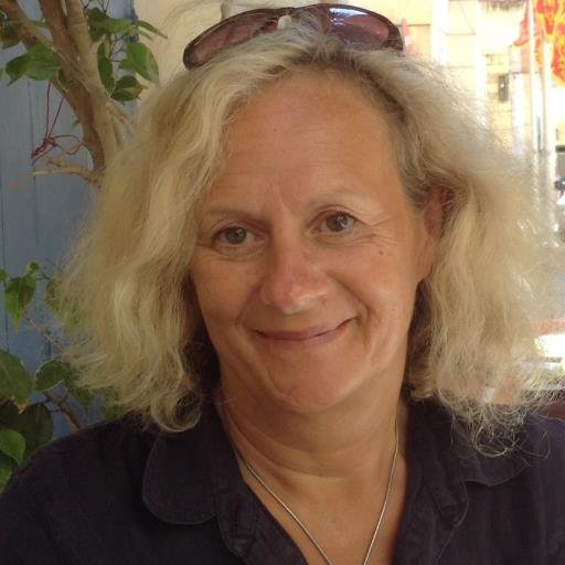 health advocate, raw food workshops & retreats organiser,  B&B host , colour light therapist, charity consultant, social tourism practitioner, writer, dog owner