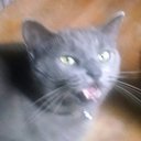 Annie Weaver - @babysquatch777 - Twitter