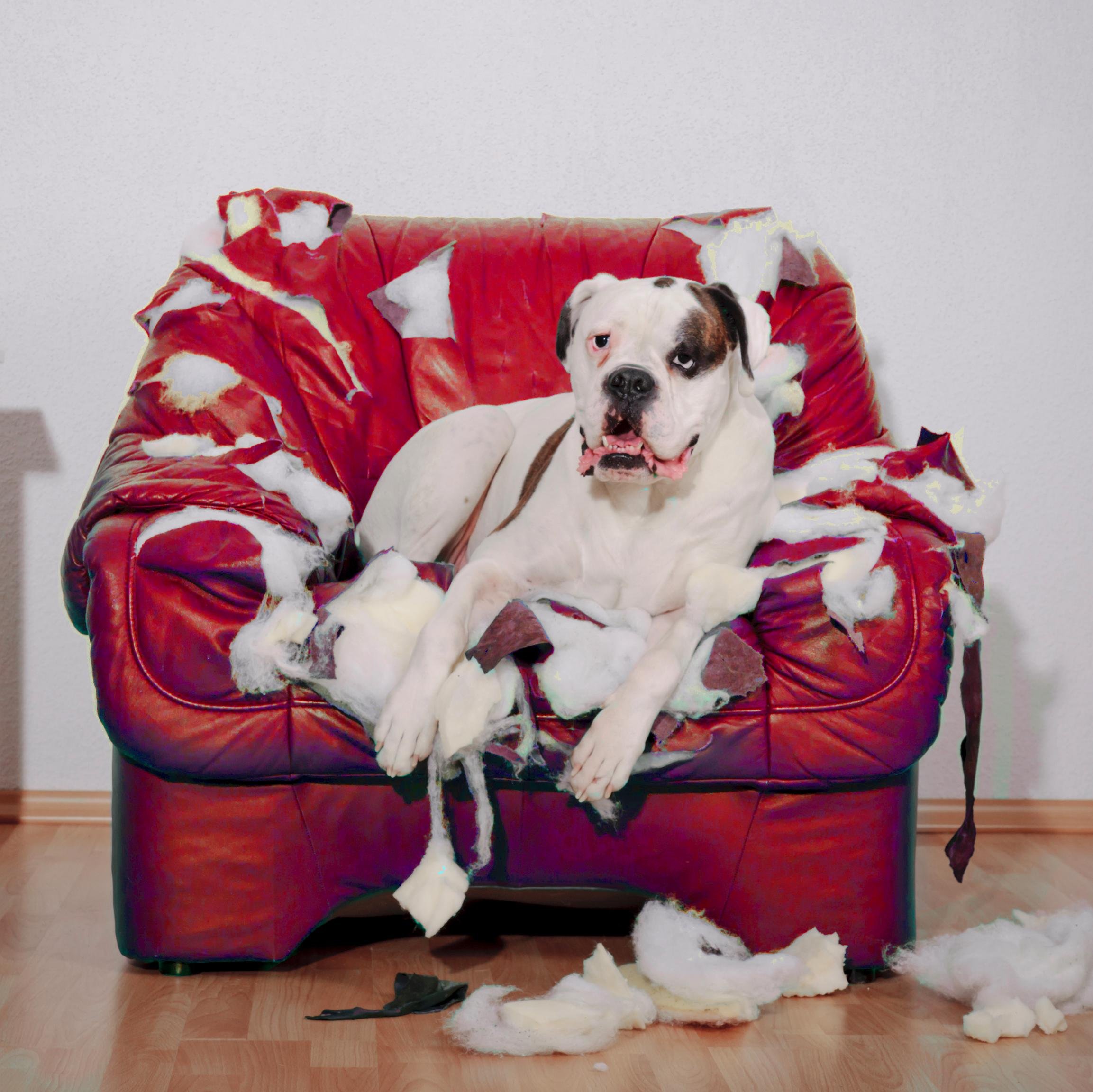 We offer repair and re-upholster for: Indentations, separating stitching, rotting, stretching, scratches, tears, pet damage, fading, and general soiling.