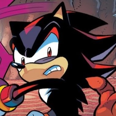 A classified experiment and project; created five decades ago.. Known as; Project Shadow. The rest does not concern your conscience. [#SonicRP] [Comic Canon]