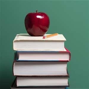 Former LC student ,now studying in Nuig ,with tips and notes available from grinds schools to help maximise marks