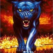 WHSALPanthers Profile Picture