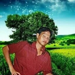 2959c72a47144f7's profile picture. 