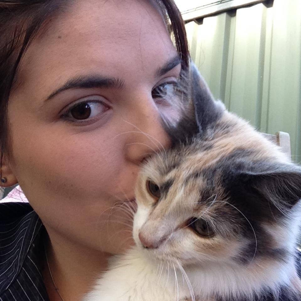 OwensSilva's profile picture. trusts are a great way to legally ensure that your pets are properly cared for if you become ill -- or worse     http://t.co/dqDOpZW3Xj