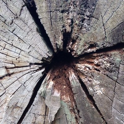 cultorum's profile picture. It's not what you think. Frequent resets. Floss. Cream. Friction. Tangled banjo beats. Yo mama.