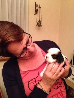 nannienieuwdorp's profile picture. 