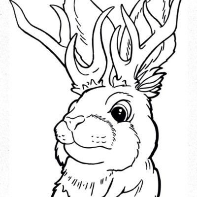 jackalopetradng's profile picture. We're a small shop in a vintage trailer, located in So Cal, specializing in vintage motorcycle stuff, Native American jewelry, and handmade accessories!