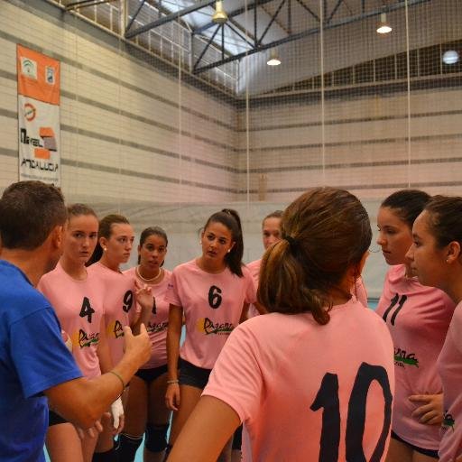 ESTE ES EL TWITER DE LOS EQUIPOS DE VOLEIBOL FEMENINO DE PIZARRA