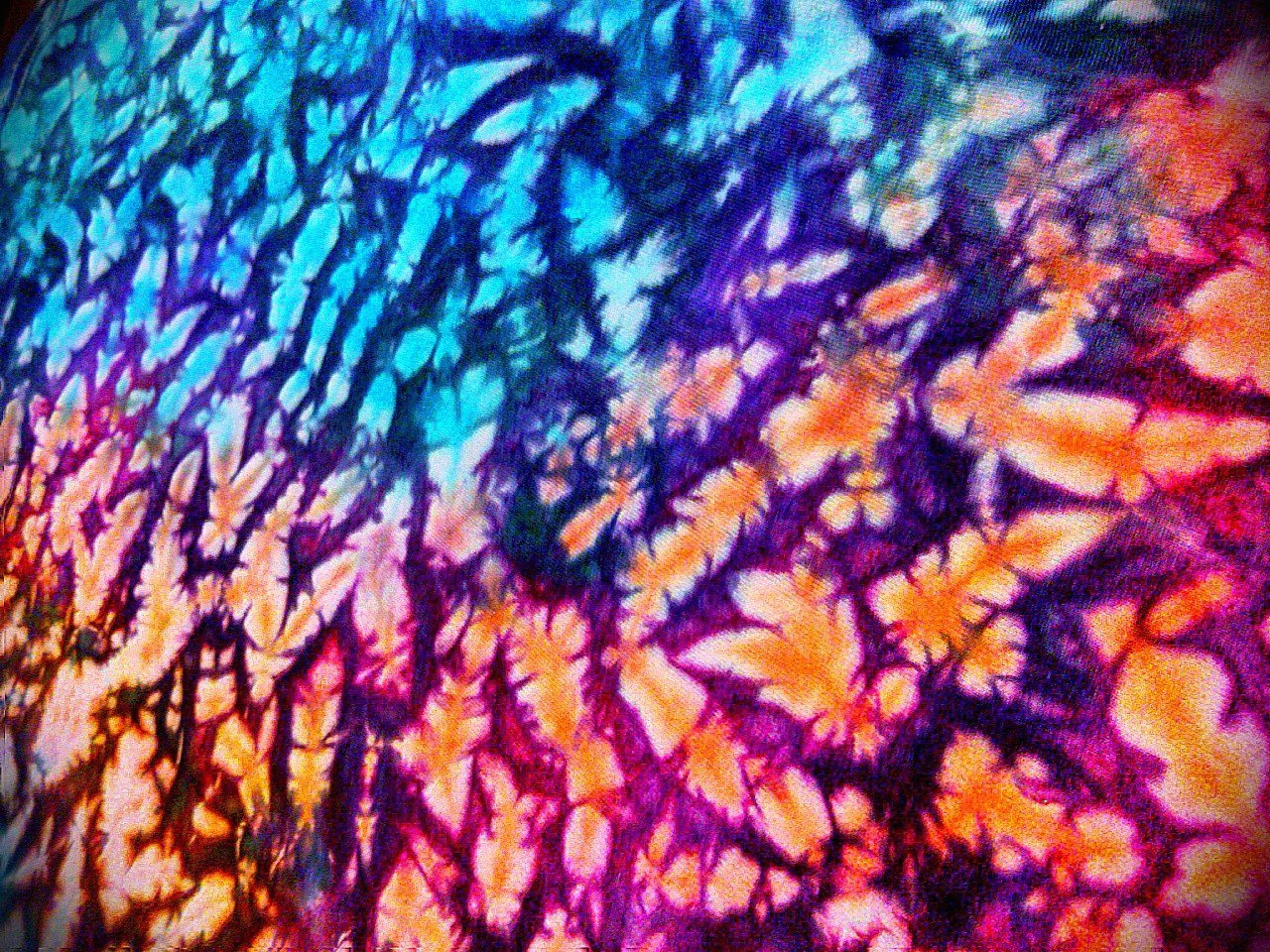 Sammebeech's profile picture. Shooting, editing and producing since 1991. Videos that is.