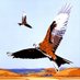 Chilterns Treasures (@chilternshills) Twitter profile photo