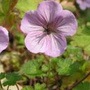 John Dilks - @JohnDilks1 - Twitter