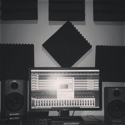 Recording/Editing/Mixing/Mastering/Reamping. Metal/Hardcore/Pop/Punk/Rock and Hip hop. DM us were extremely cheap and high quality.