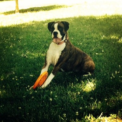 EricWPrice's profile picture. QC born - NC State '07 - Go Pack! GTHC!