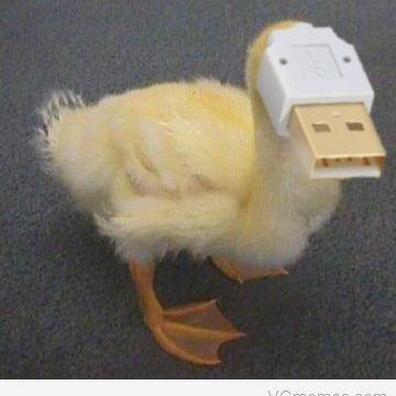 fhc_txt's profile picture. Bringing you the best bits of Failheap Challenge!