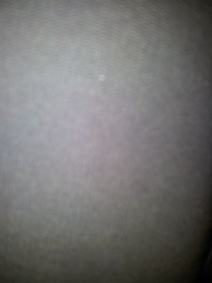 Liiiekeee Profile Picture
