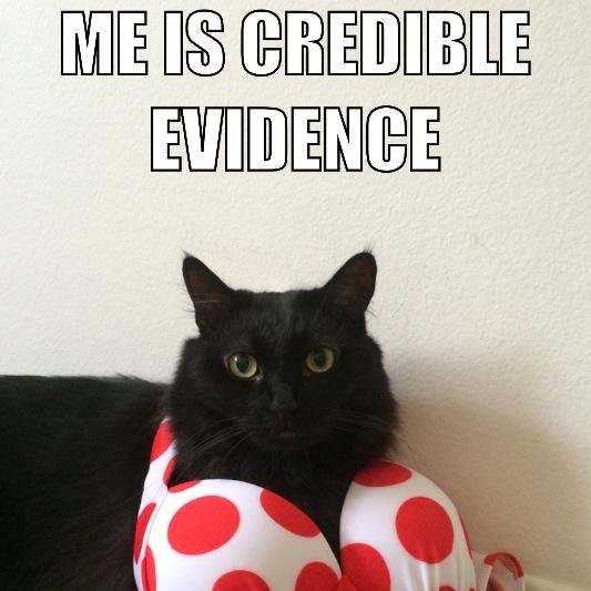 Eval_Cat's profile picture. Me is Eval_Cat. Me evaluate. Me judge u. Always.