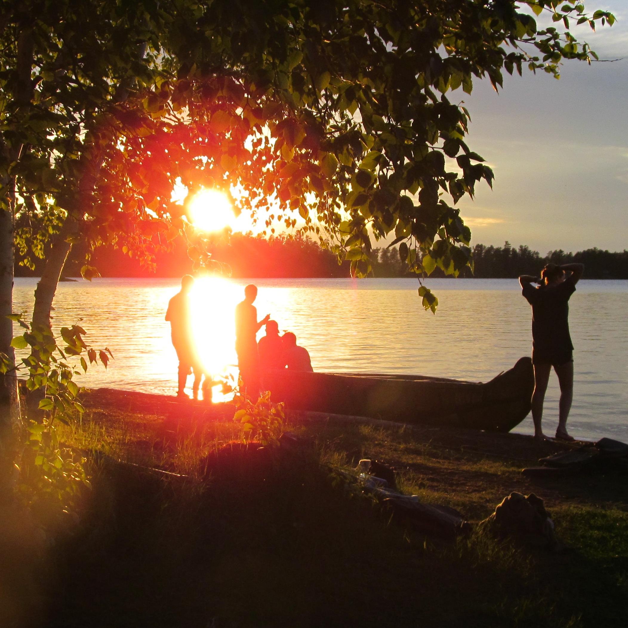 cesipp's profile picture. 