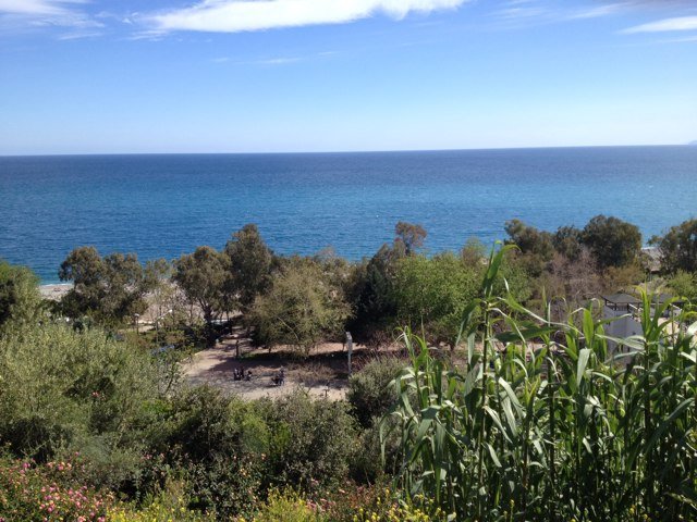 Khalidaaj's profile picture. 