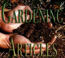 In our Gardening Articles you can gather great tips and trick for better Gardening