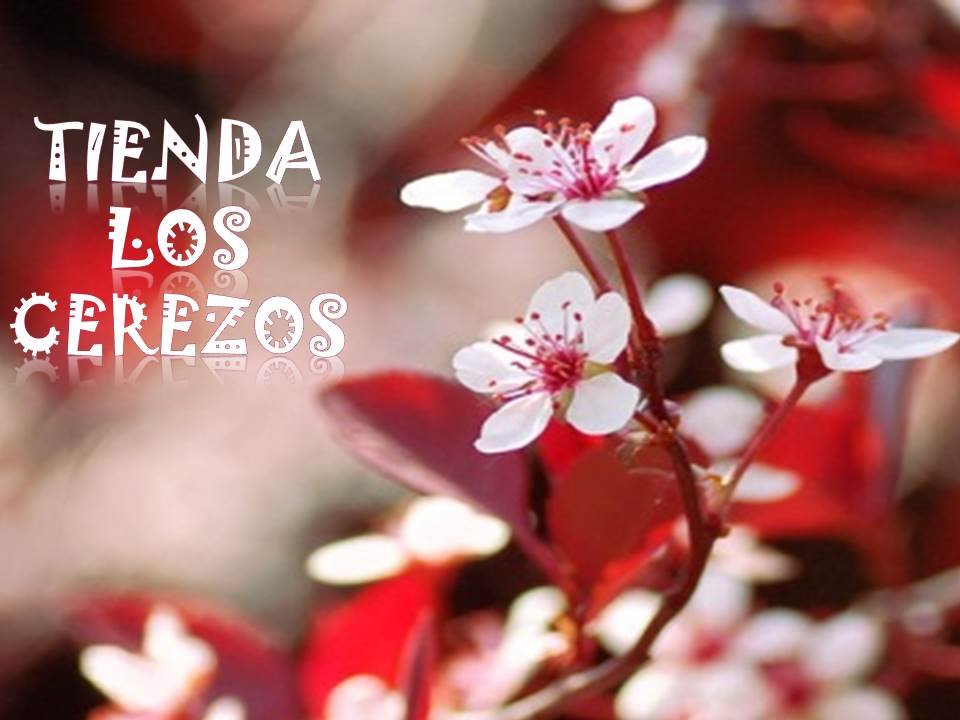 todo lo que necesitas ¡en un sólo lugar! (Venta Ropa y Accesorios)