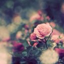 darin (@648Darin) Twitter