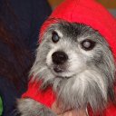 Tammy Dee Narayan - @NarayanDee - Twitter