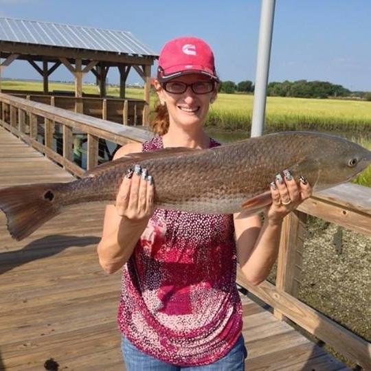 chsladyangler's profile picture. 