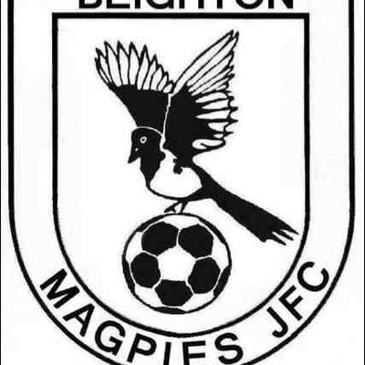 Beighton Magpies LFC playing in Division 1 of the Sheffield and Hallamshire Womens County League. Division 3 Champions 2014/2015.