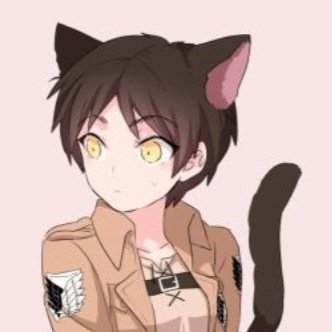 Hello im eren jaeger but you can call me jaeger,yes i as you can see i kill titans is it fun? No...master is levi❤️pet friend is mikasaX3//single//rps//snk