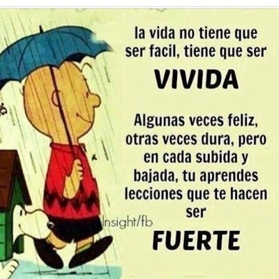 valefer19's profile picture. 