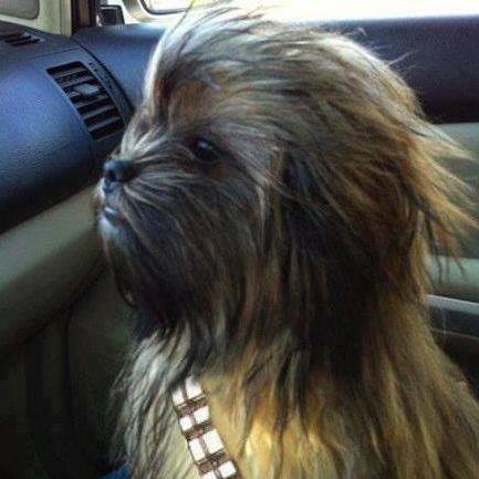 hard2choose76's profile picture. 