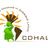 CDHAL's profile image