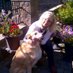 Caroline Eberle (@carolioneeberle) Twitter profile photo Caroline Eberle (@carolioneeberle) Twitter profile photo