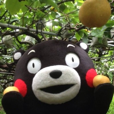 23お受沼の住人です。どフリー庶民。皆様のおかげで生きながらえております。いつもありがとうございます。