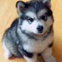 ARMANDO PAGAN RIVERA - @BRYANCHRI - Twitter