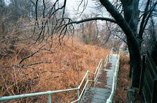 Exploring the diverse terrain and topography within a rich urban tapestry, overcoming steep hills, ravines, crossing rivers, highways railroad tracks