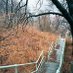 🏙 PittsburghTrail (@pittsburghtrail) Twitter profile photo