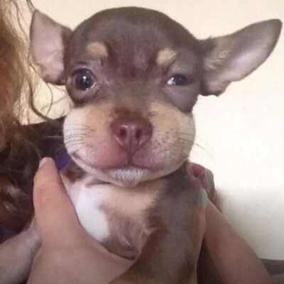 KingProblematic's profile picture. 