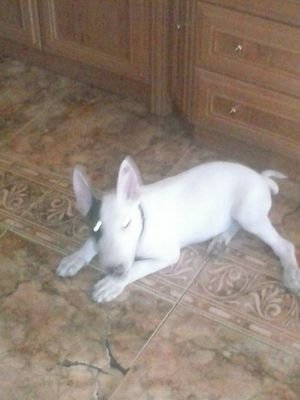 Huguitojordan's profile picture. Currante y buena gente!!